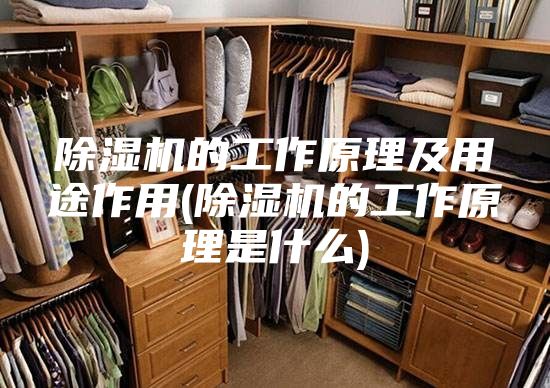 除湿机的工作原理及用途作用(除湿机的工作原理是什么)