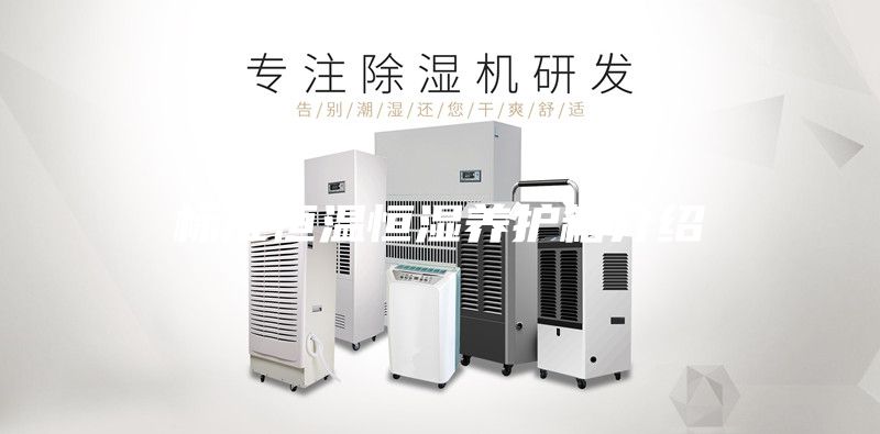 标准恒温恒湿养护箱介绍