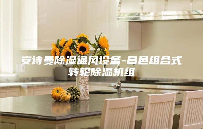 安诗曼除湿通风设备-昌邑组合式转轮除湿机组