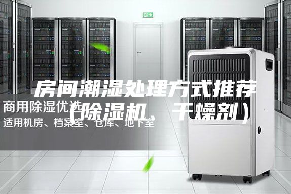 房间潮湿处理方式推荐（除湿机、干燥剂）