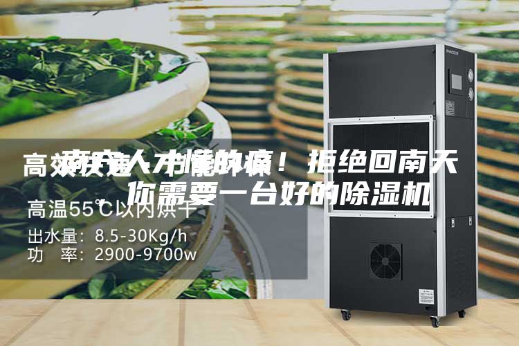 南方人才懂的痛！拒绝回南天，你需要一台好的除湿机