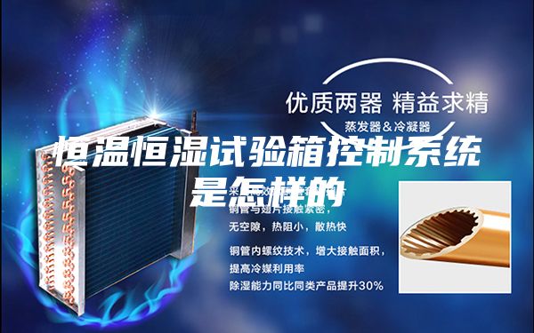 恒温恒湿试验箱控制系统是怎样的