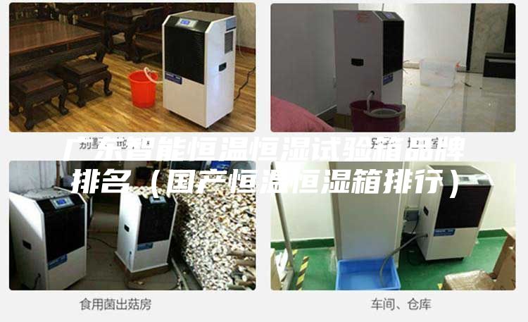 广东智能恒温恒湿试验箱品牌排名（国产恒温恒湿箱排行）