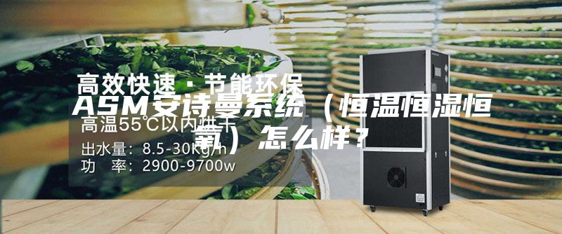 ASM安诗曼系统（恒温恒湿恒氧）怎么样？