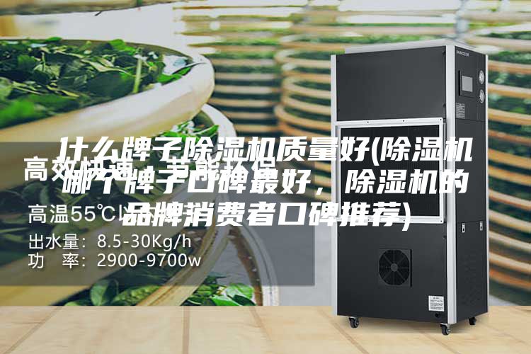 什么牌子除湿机质量好(除湿机哪个牌子口碑最好，除湿机的品牌消费者口碑推荐)