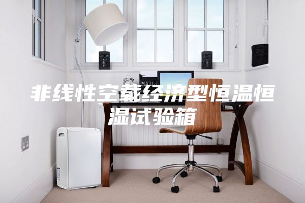 非线性空载经济型恒温恒湿试验箱