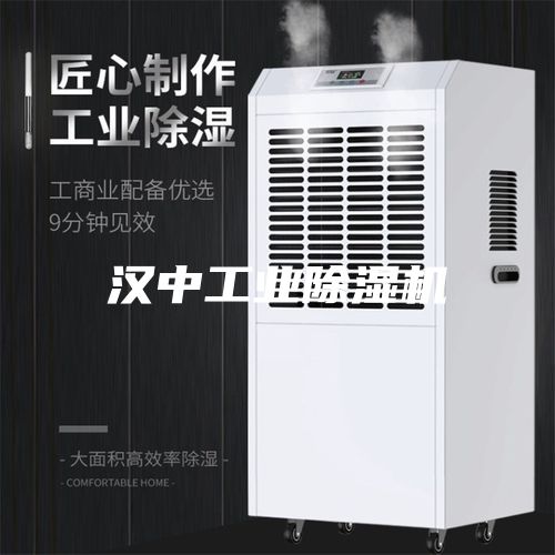 汉中工业除湿机