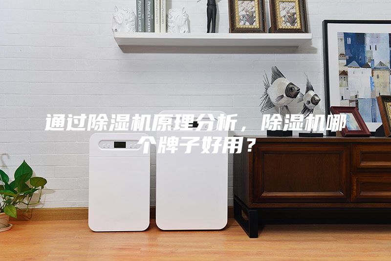 通过除湿机原理分析，除湿机哪个牌子好用？