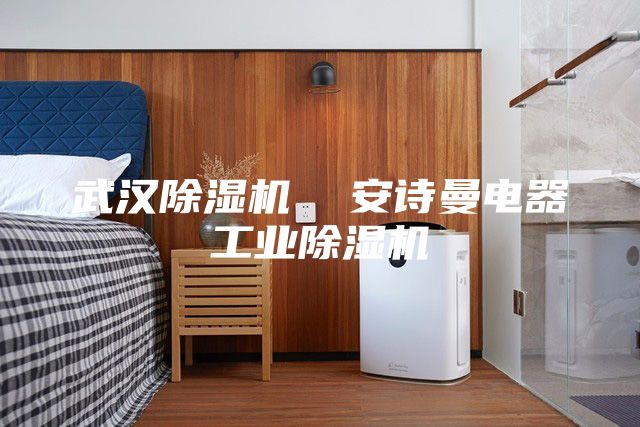 武汉除湿机  安诗曼电器工业除湿机