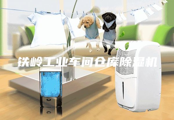 铁岭工业车间仓库除湿机