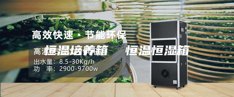 恒温培养箱  恒温恒湿箱