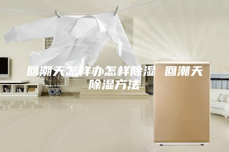 回潮天怎样办怎样除湿 回潮天除湿方法