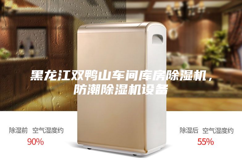 黑龙江双鸭山车间库房除湿机，防潮除湿机设备