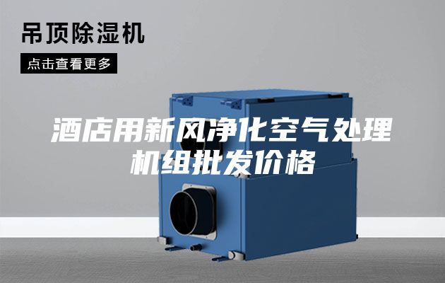 酒店用新风净化空气处理机组批发价格