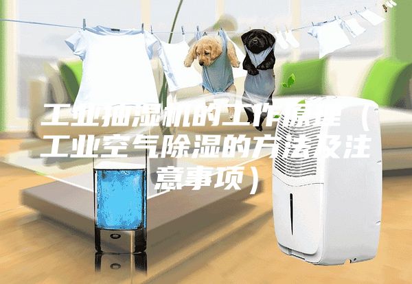 工业抽湿机的工作原理（工业空气除湿的方法及注意事项）