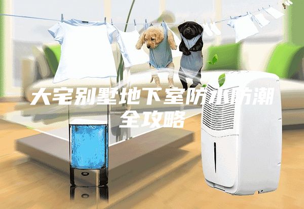 大宅别墅地下室防水防潮全攻略
