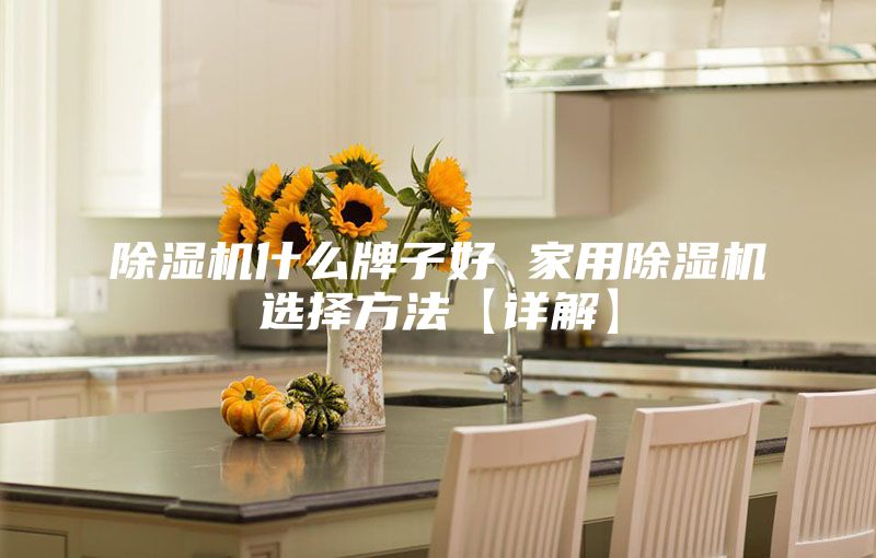 除湿机什么牌子好 家用除湿机选择方法【详解】