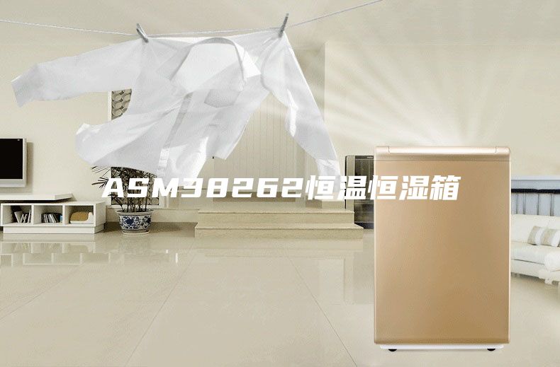 ASM38262恒温恒湿箱