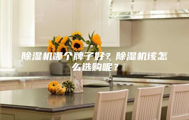除湿机哪个牌子好？除湿机该怎么选购呢？