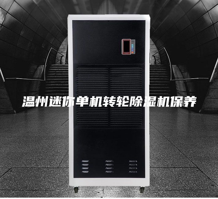 温州迷你单机转轮除湿机保养