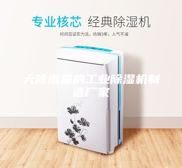 大除湿量的工业除湿机制造厂家