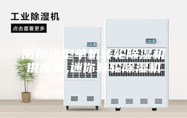 衢州小型单机转轮除湿机供应商,迷你转轮除湿机