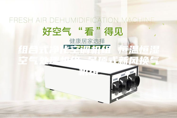 组合式净化空调机组 恒温恒湿空气处理机组 吊顶式新风换气机组