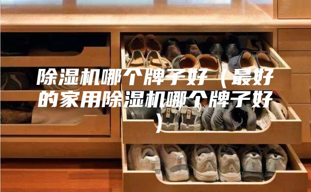 除湿机哪个牌子好（最好的家用除湿机哪个牌子好）