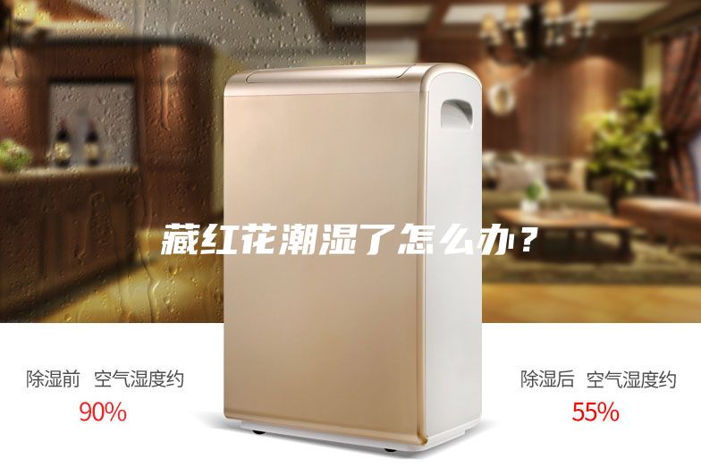 藏红花潮湿了怎么办？