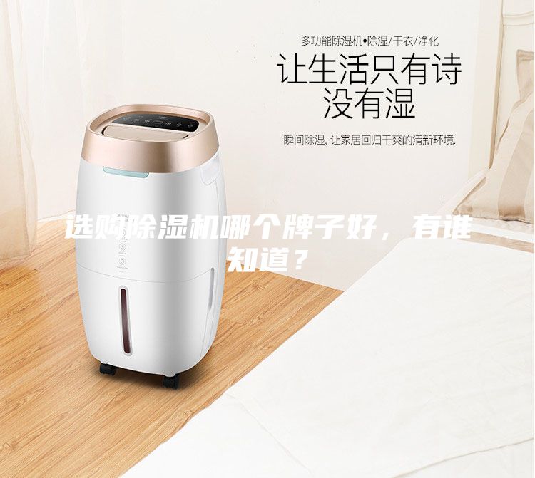 选购除湿机哪个牌子好，有谁知道？