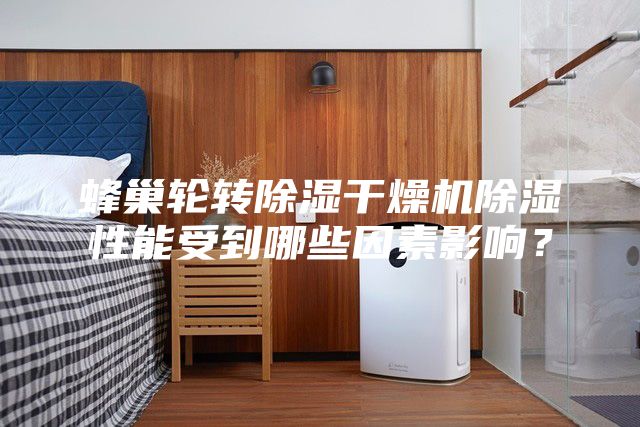 蜂巢轮转除湿干燥机除湿性能受到哪些因素影响？