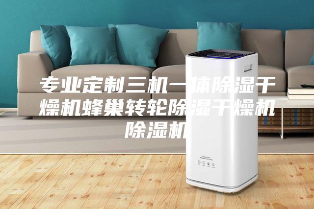 专业定制三机一体除湿干燥机蜂巢转轮除湿干燥机除湿机