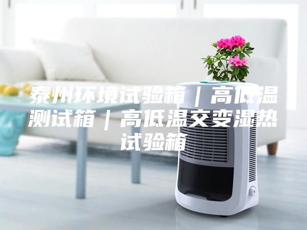 泰州环境试验箱｜高低温测试箱｜高低温交变湿热试验箱