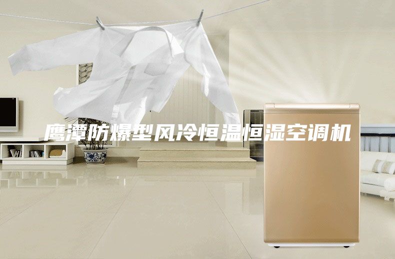 鹰潭防爆型风冷恒温恒湿空调机