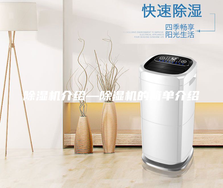 除湿机介绍—除湿机的简单介绍