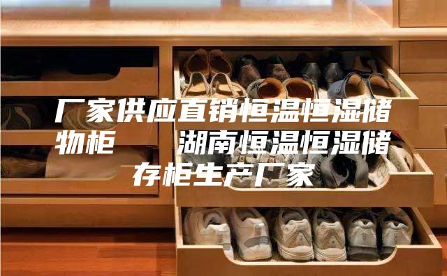 厂家供应直销恒温恒湿储物柜   湖南恒温恒湿储存柜生产厂家