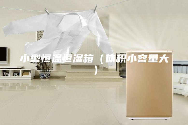 小型恒温恒湿箱（体积小容量大）