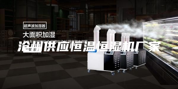 沧州供应恒温恒湿机厂家