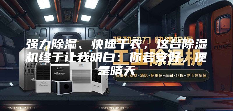 强力除湿、快速干衣，这台除湿机终于让我明白：你若安好，便是晴天