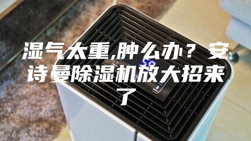湿气太重,肿么办？安诗曼除湿机放大招来了