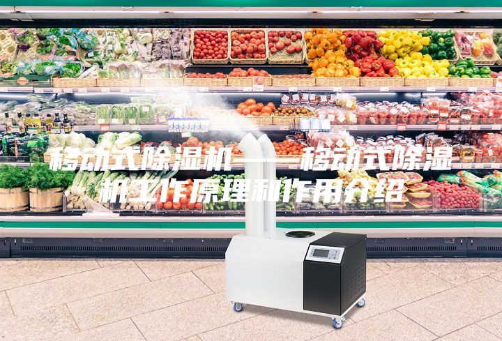 移动式除湿机——移动式除湿机工作原理和作用介绍