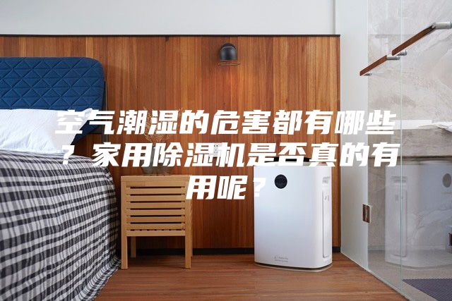 空气潮湿的危害都有哪些？家用除湿机是否真的有用呢？