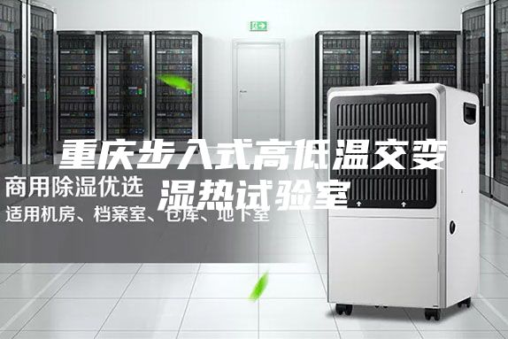 重庆步入式高低温交变湿热试验室