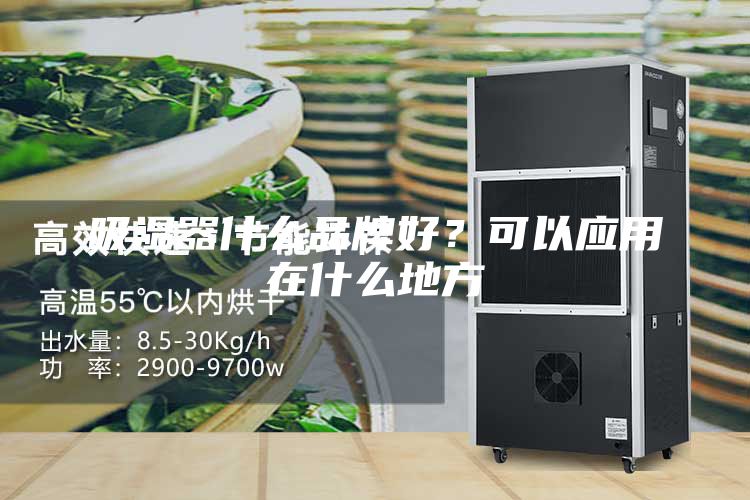 吸湿器什么品牌好？可以应用在什么地方