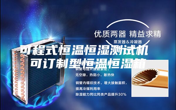 可程式恒温恒湿测试机 可订制型恒温恒湿箱