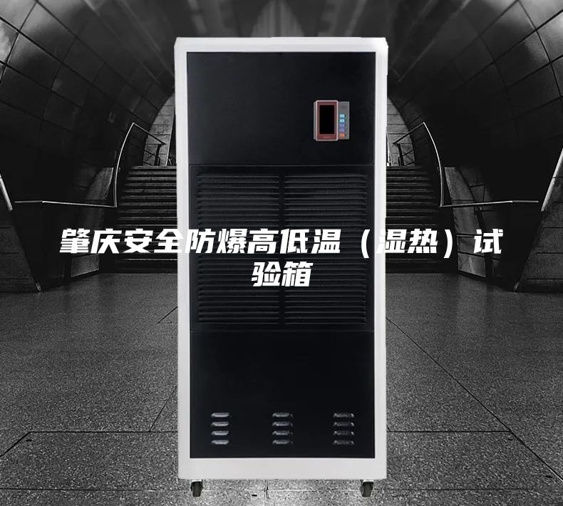 肇庆安全防爆高低温（湿热）试验箱