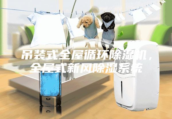 吊装式全屋循环除湿机，全屋式新风除湿系统