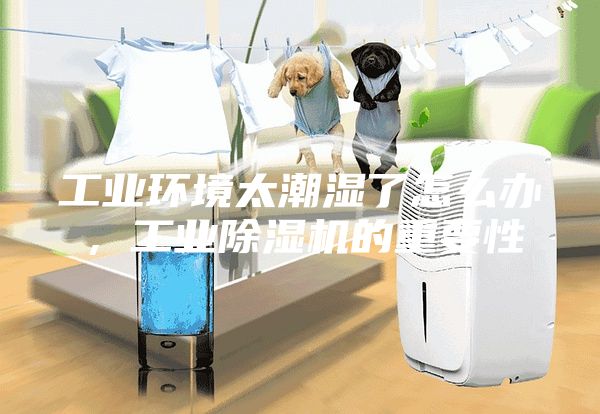 工业环境太潮湿了怎么办，工业除湿机的重要性