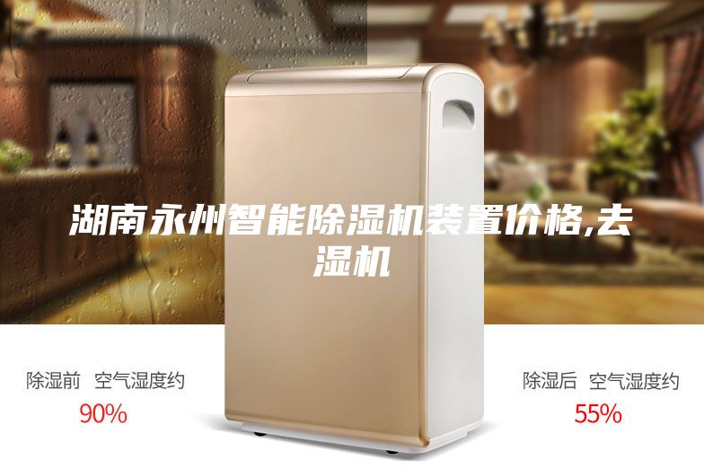 湖南永州智能除湿机装置价格,去湿机