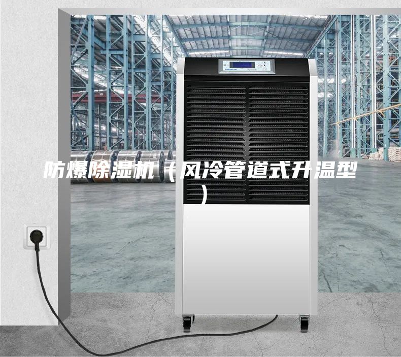 防爆除湿机（风冷管道式升温型）